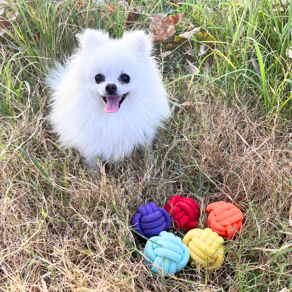 The Rope Ball Set